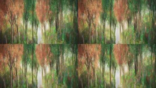 唯美森林 四季风景高清在线视频素材下载