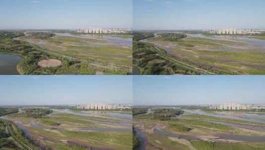 黄河湿地高清在线视频素材下载