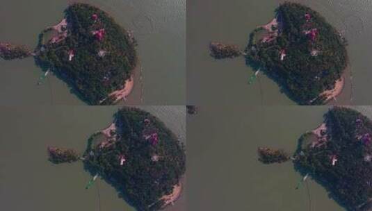 航拍太湖上的小岛高清在线视频素材下载
