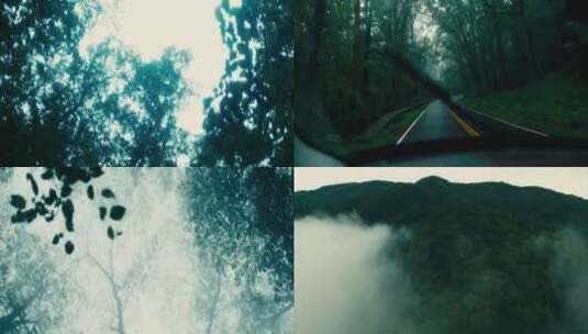 森林雨季雾气森林下雨天高清在线视频素材下载