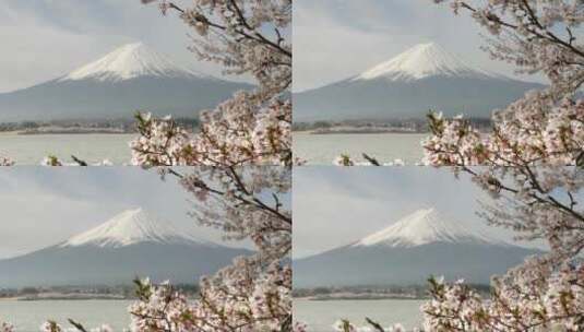 富士山景色高清在线视频素材下载