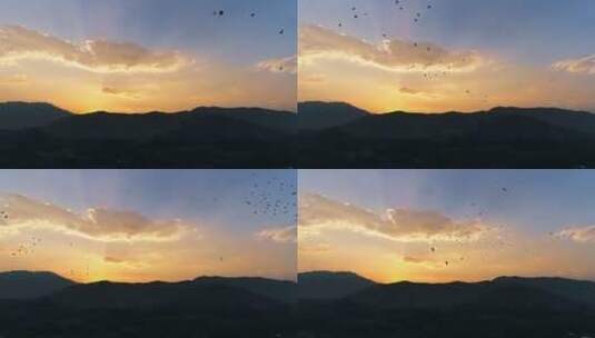 夕阳晚霞中飞翔的白鹭群高清在线视频素材下载