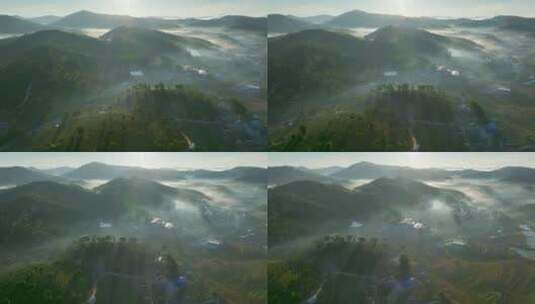 航拍云雾中的茶山茶园高清在线视频素材下载