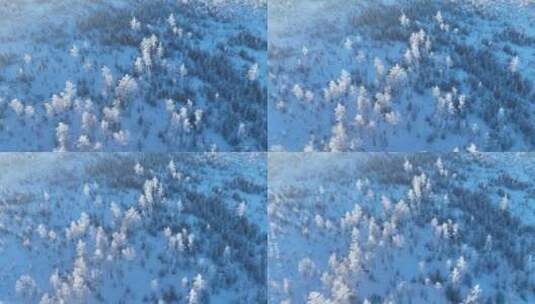 鸟瞰林海雪原银装素裹高清在线视频素材下载
