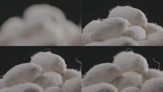蚕茧蚕丝蚕蛹柞蚕蚕茧LOG视频素材高清在线视频素材下载