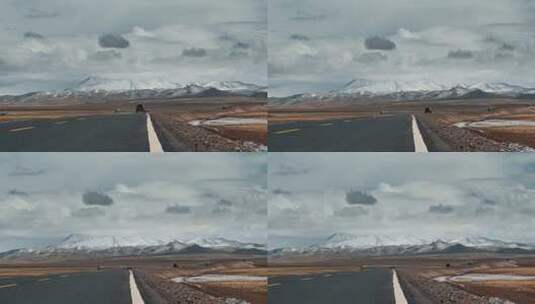 西藏旅游风光219国道高原雪山高清在线视频素材下载
