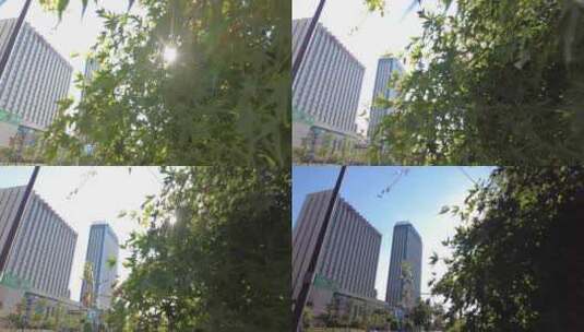 城市阳光穿过树叶子风景视频素材高清在线视频素材下载