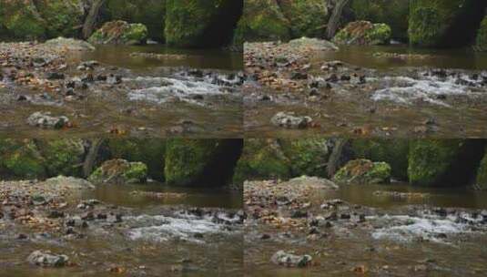 山涧河流高清在线视频素材下载
