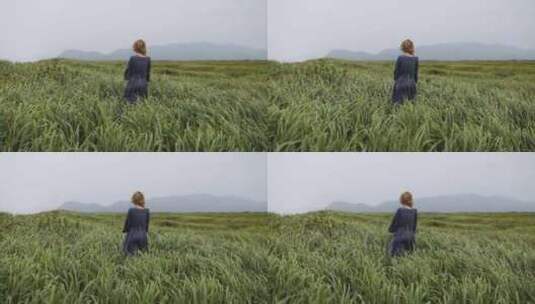 草原风中落寞孤独的女生背影高清在线视频素材下载