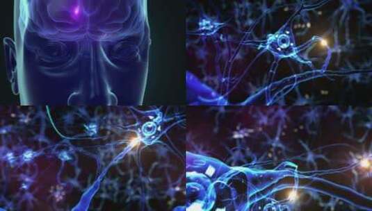 大脑头部神经元闪烁电脉冲穿越神经元_4K高清在线视频素材下载