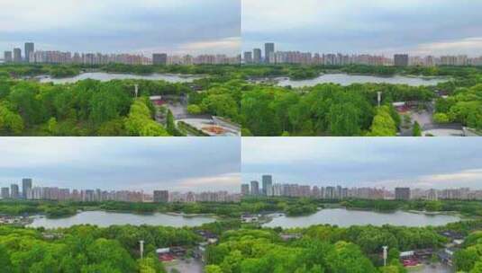 航拍上海浦东世纪公园全景城市风景人文生态高清在线视频素材下载