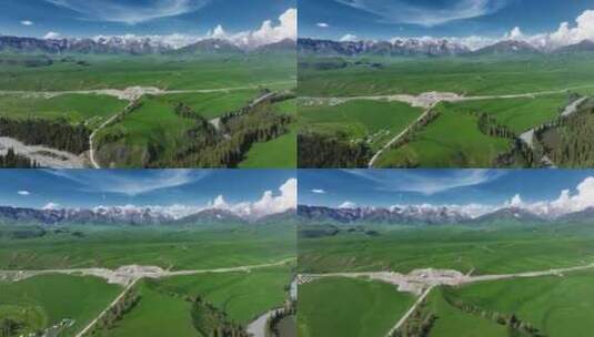 新疆伊犁唐布拉百里画廊草原森林雪山高清在线视频素材下载