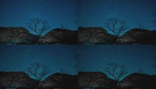 一棵枯树，一夜流星高清在线视频素材下载