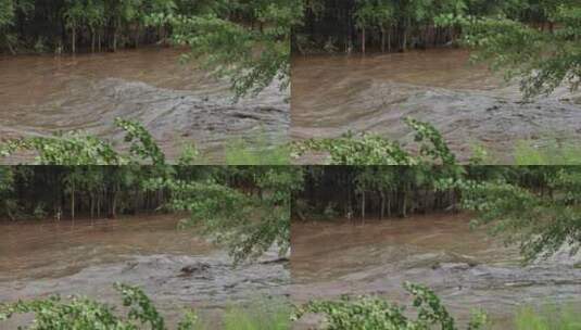 实拍暴雨后洪水 山洪  泥石流高清在线视频素材下载