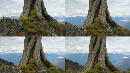 独特岩石山景近景特写高清在线视频素材下载