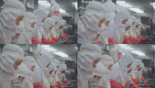 工人穿着防护服在流水线上加工海参高清在线视频素材下载