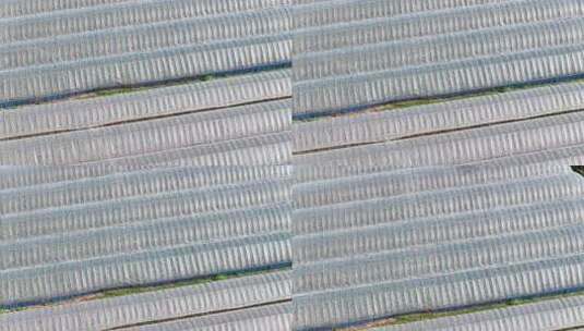 航拍农业大棚种植基地高清在线视频素材下载