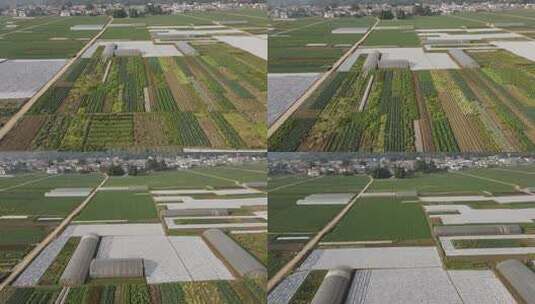 冬季乡村蔬菜基地高清在线视频素材下载