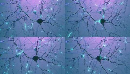 人脑内神经元簇信号传递高清在线视频素材下载