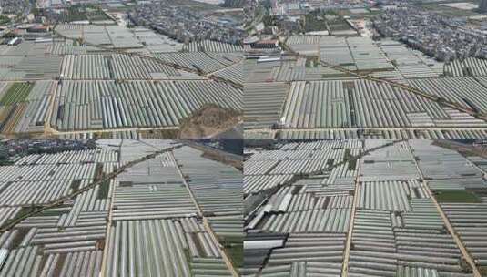 大面积农业温室大棚俯瞰景象高清在线视频素材下载