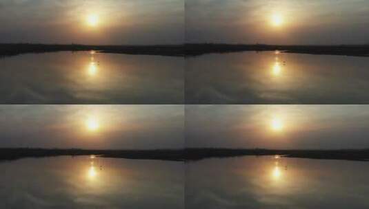 夕阳下的白鹭高清在线视频素材下载