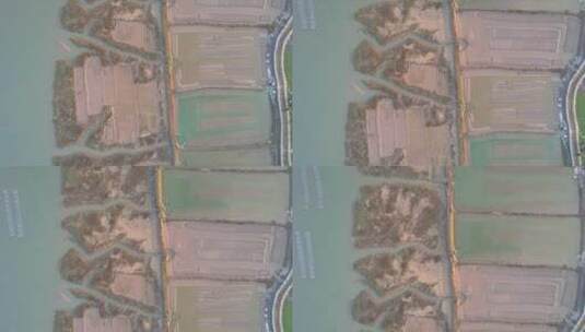 航拍 浙江沿海海岛滩涂养殖场高清在线视频素材下载