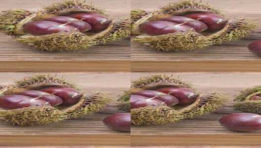 新鲜采摘的板栗刺球4k视频滑轨平移高清在线视频素材下载