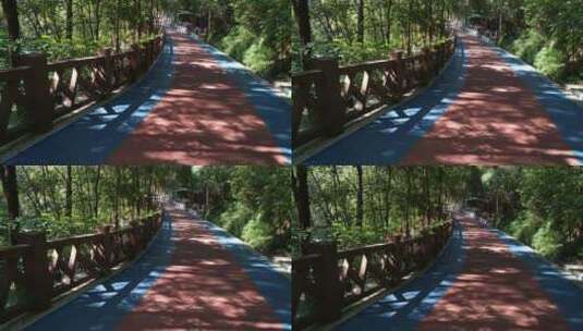 森林里的生态道路4K实拍视频 (1)高清在线视频素材下载