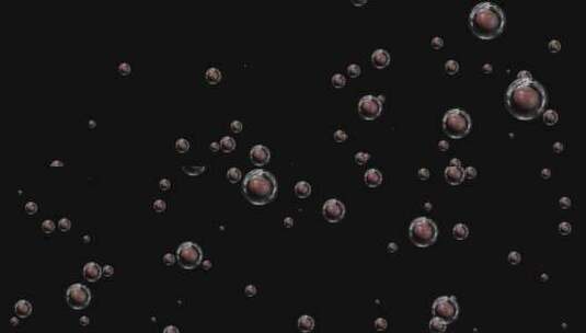水果百香果气泡粒子视频素材带通道高清在线视频素材下载