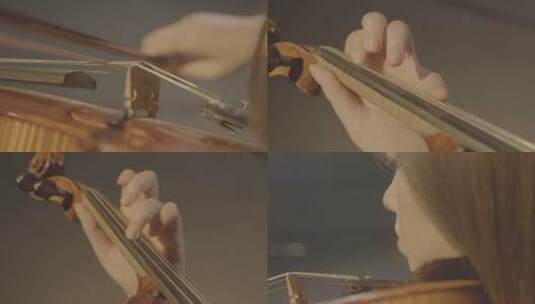 4k小提琴实拍素材高清在线视频素材下载