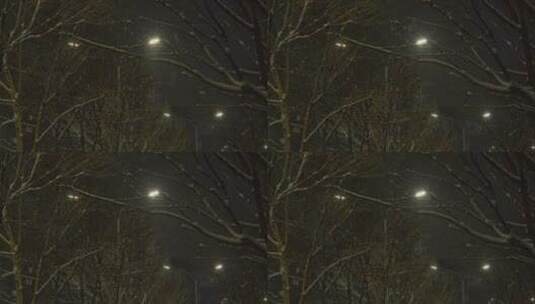 飘雪的夜景路灯高清在线视频素材下载