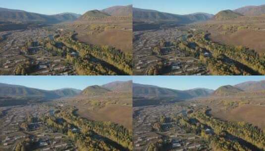 秋天新疆阿勒泰禾木村白桦林自然风光航拍高清在线视频素材下载