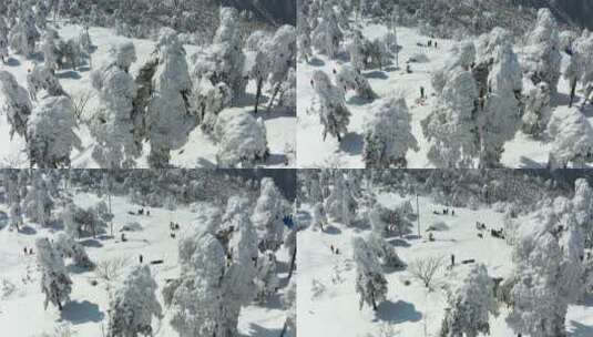 杭州临安百丈岭雪景风光4K航拍高清在线视频素材下载