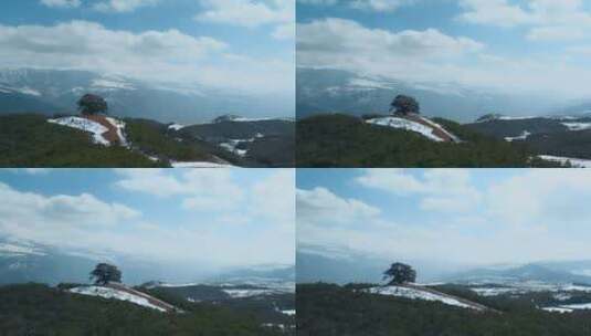 冬季云南红土地雪景视频雪山白云环绕的神树高清在线视频素材下载