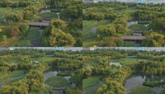 昆明发展视频昆明高新区湿地公园小河石桥高清在线视频素材下载