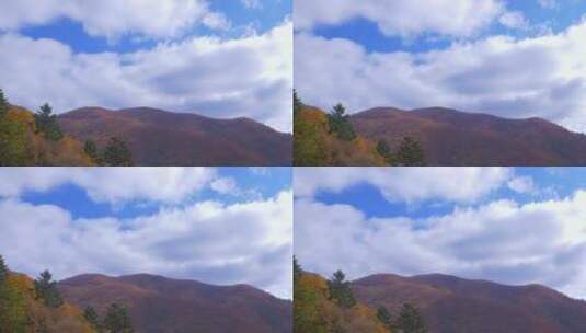韩国五台山秋景 满山红叶 蓝天白云高清在线视频素材下载