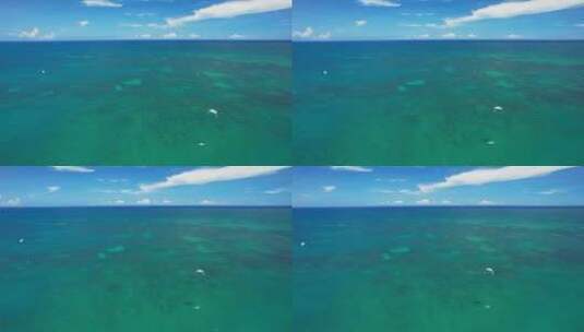 海南琼海博鳌风筝冲浪航拍高清在线视频素材下载