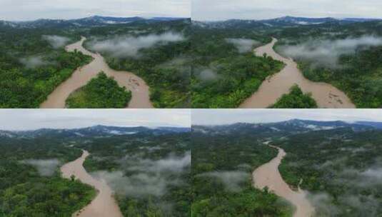 森林中热带河流的自然背景，树冠上有雾高清在线视频素材下载
