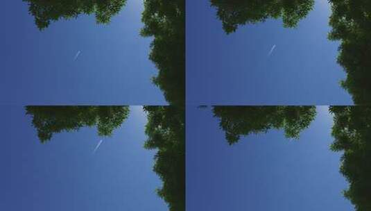 树叶为前景的飞机飞过晴朗无云的天空高清在线视频素材下载