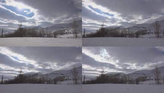 冬季平原白杨树后的雪山高清在线视频素材下载