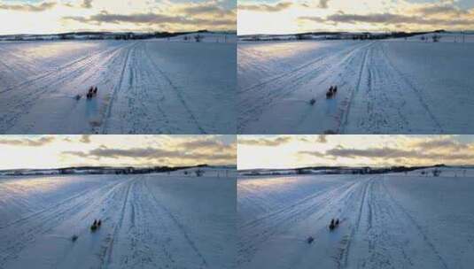 夕阳西下，马拉着雪橇和骑手在冰冻多雪的路上走向村庄-博士高清在线视频素材下载