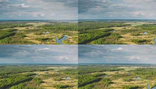 鸟瞰森林和河流沼泽高清在线视频素材下载