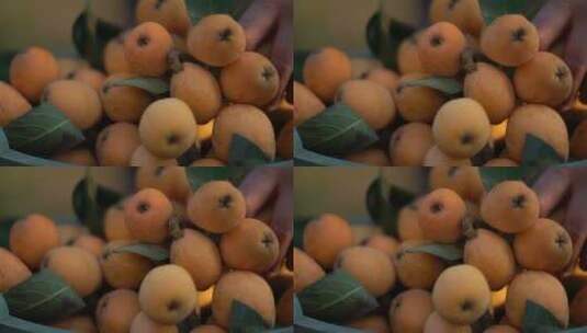 早熟 枇杷 水果 特写 高清视频 素材 枇杷树高清在线视频素材下载