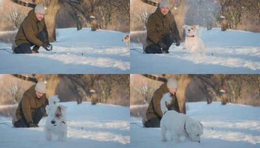 一名男子在公园的雪地里玩杰克罗素梗狗高清在线视频素材下载