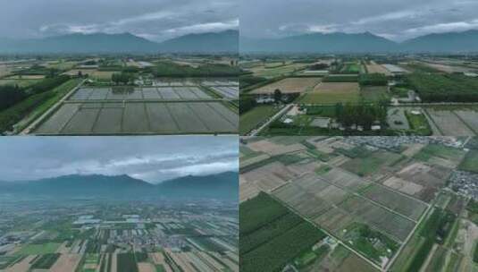 农业种植万亩良田高空4K航拍高清在线视频素材下载