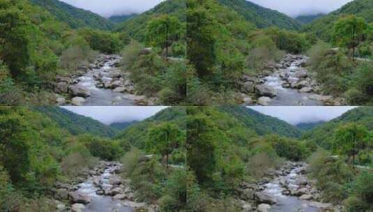 山中森林里清澈流淌的小溪高清在线视频素材下载