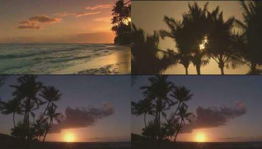 沙滩海边海浪唯美海上夕阳椰子树高清在线视频素材下载