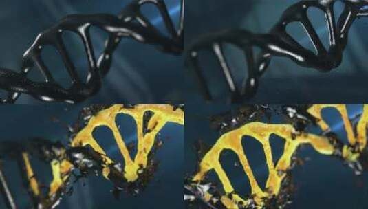 DNA 螺旋 染色体 基因 生物学高清在线视频素材下载