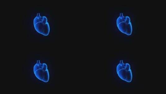3D全息投影医疗影像跳动的心脏高清在线视频素材下载