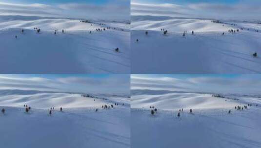 唯美雪景 呼伦贝尔大雪原高清在线视频素材下载